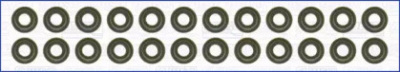 WILMINK GROUP wg1170066 -  